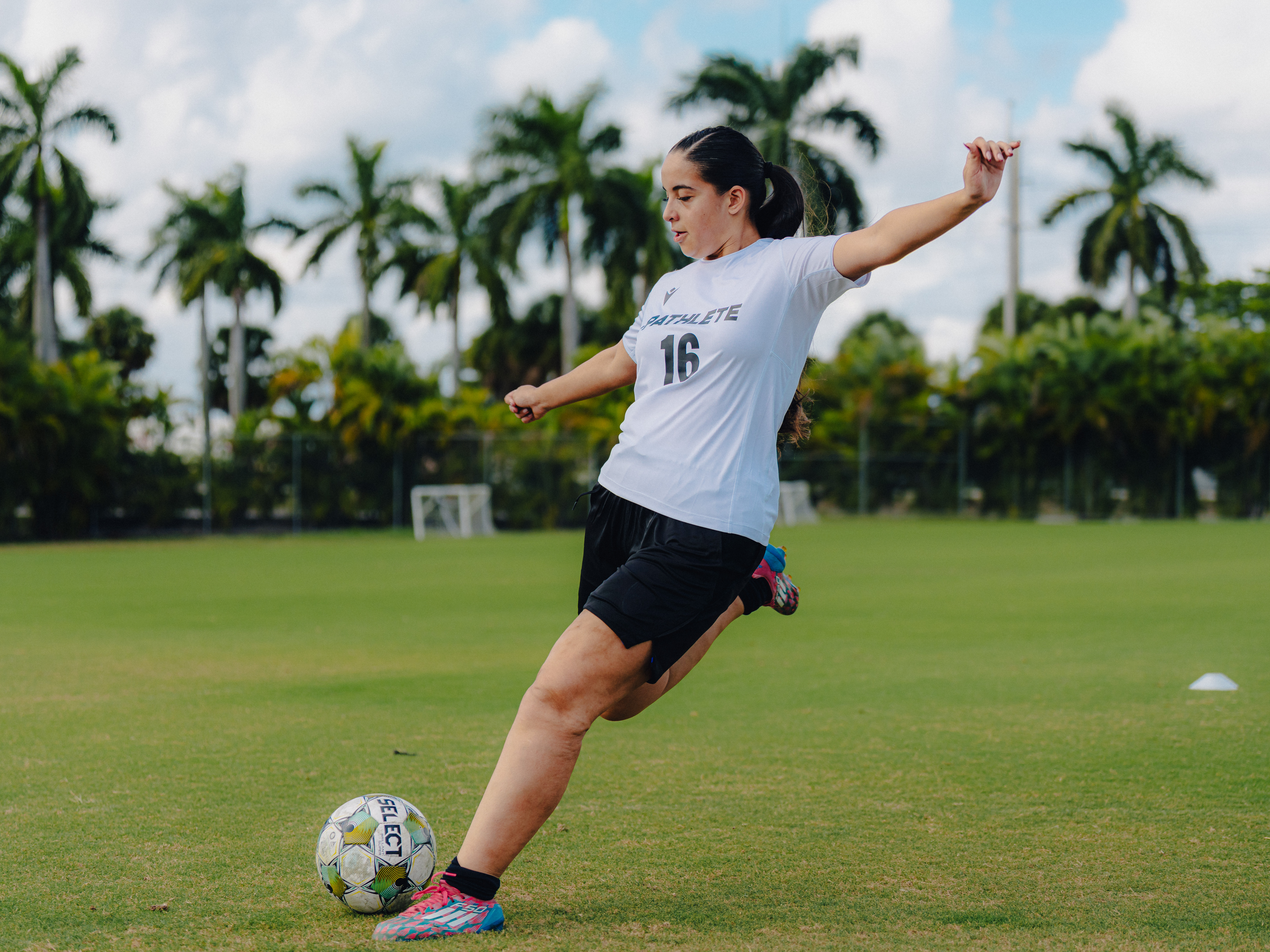 Regional Showcase - Top performers competing